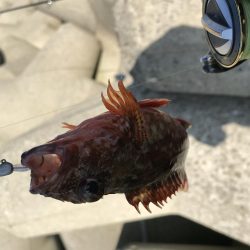 あたりが欲しくて！