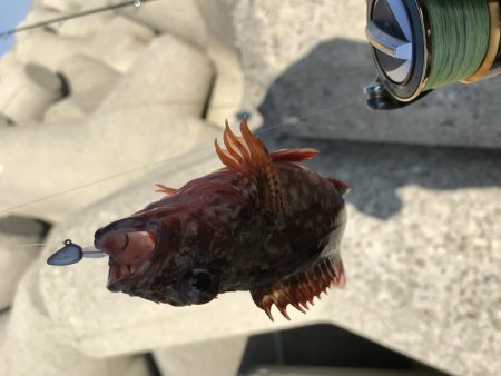 あたりが欲しくて！