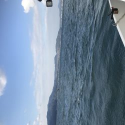 ガシラッシュ(船釣りバージョン)