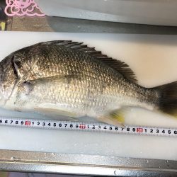 初めてのルアー釣果