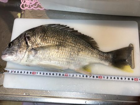 初めてのルアー釣果