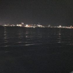 ホンマ、久しぶりですわ!