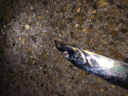 まさかのタッチー！