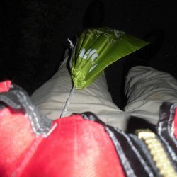 ガッシー20cm↑2匹 黒ソイ18cmくらい獲ったどぉ