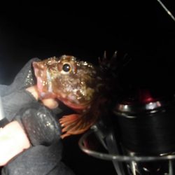 ソイやッ！ソイやッ！ソイやッ！