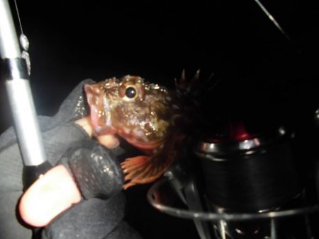 ソイやッ！ソイやッ！ソイやッ！