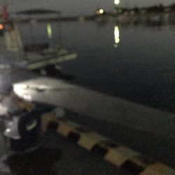 落とし込みでまさかのボラ⁈