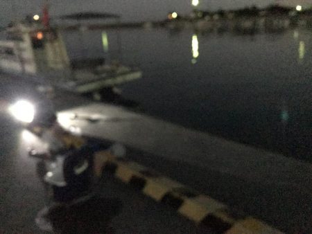 落とし込みでまさかのボラ⁈