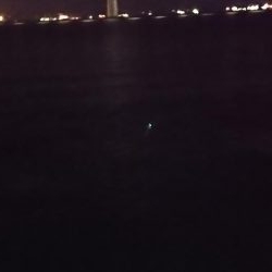 やっと釣れた\(^^)/