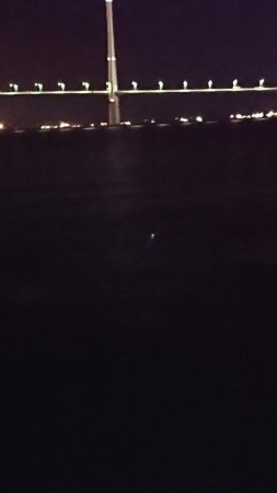 やっと釣れた\(^^)/