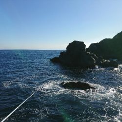 潮岬でグレ釣り