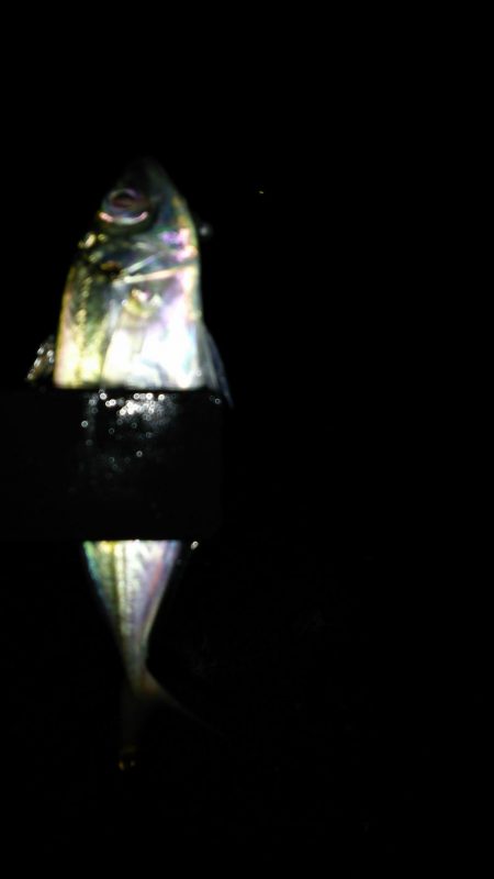 スーパームーンアジング