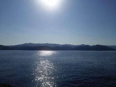 なぎ丸渡船でアオリ狙いがハマチGET