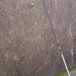 2017今年最後の播磨