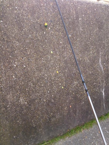 2017今年最後の播磨