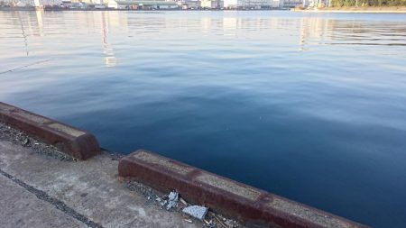 タチウオ求めて湾奥へ