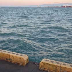 ⚫強風タチウオ渋すぎ