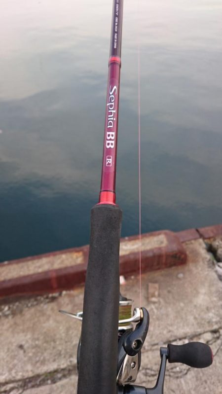 湾奥タチウオ完全復活!!