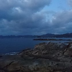 磯からのガシラ(アラカブ)連発