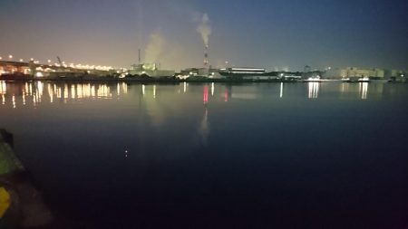 湾奥タチウオ3匹