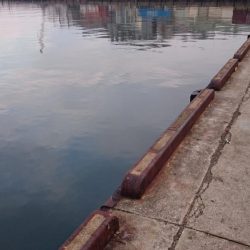 X\’masｲﾌﾞ タチウオ釣行