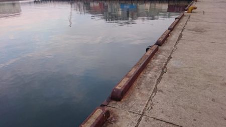 X\’masｲﾌﾞ タチウオ釣行