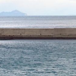 堤防からのデブ鯖(￣▽￣;)