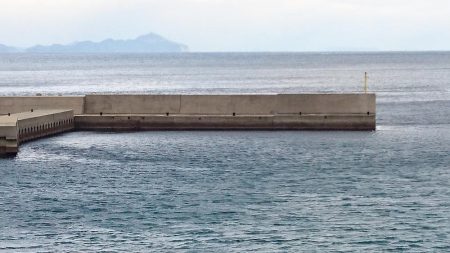 堤防からのデブ鯖(￣▽￣;)