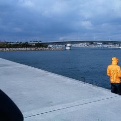 終盤を迎える二見の落ちギス