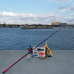 暴風の白灯台波止で落ちギス狙い