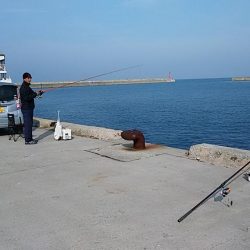 シーズン最終の淡路釣行