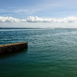 激シブでした。