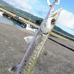 早朝サンドワームなら1投目からヒットしました。