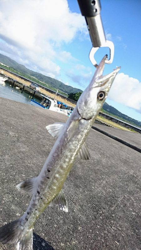 早朝サンドワームなら1投目からヒットしました。