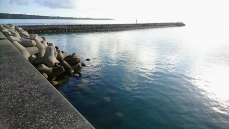 夕方防波堤からチョウチョウコショウダイ