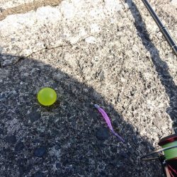 ナイトアジング