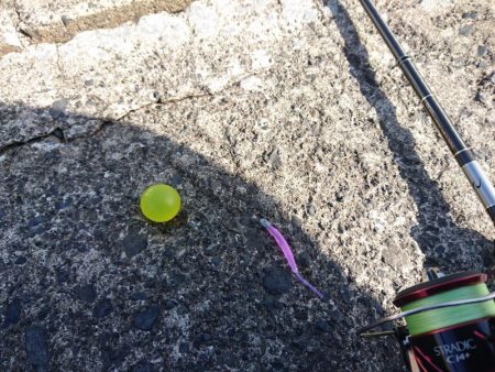 ナイトアジング