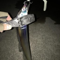 湾奥タチウオ。丁寧に探ればチャンス有り！