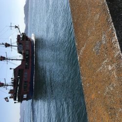 マリーナホップで