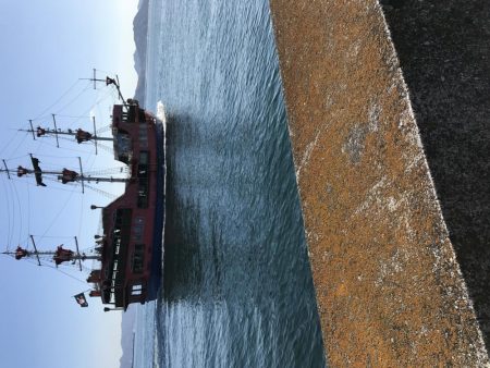 マリーナホップで