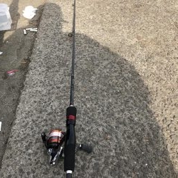 花市場前にて！