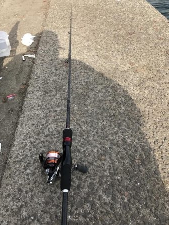 花市場前にて！