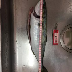 ショアジギング