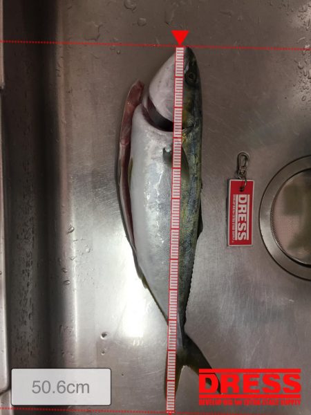 ショアジギング