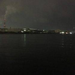 遠征帰りの太刀魚♫