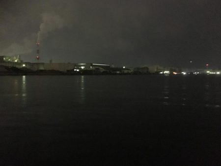 遠征帰りの太刀魚♫