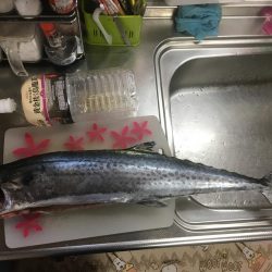 久しぶりの沖堤♫