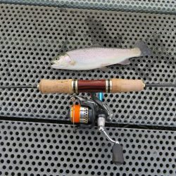 東山湖忘年釣行