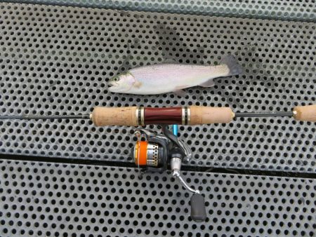 東山湖忘年釣行