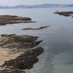 年内最後のエギングで・・・